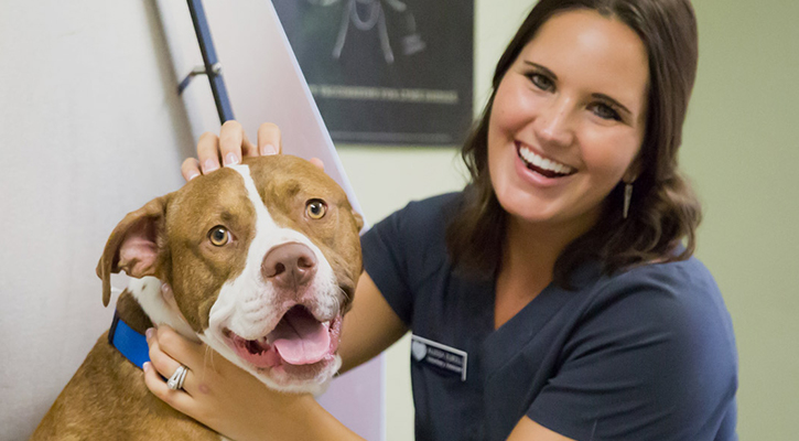 contact-veterinary-clinic-of-myrtle-beach