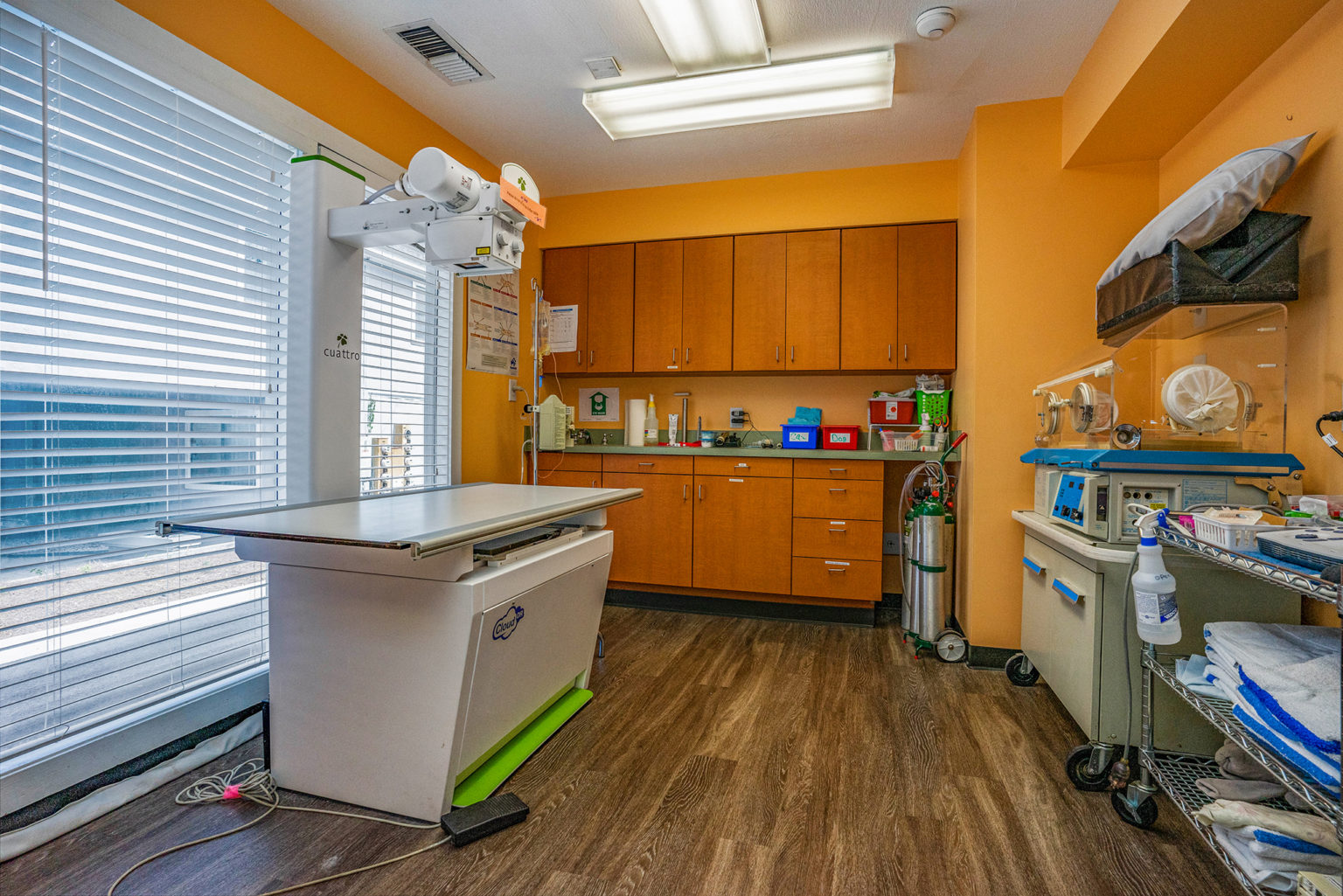 Hospital Tour Veterinary Clinic of Myrtle Beach, SC