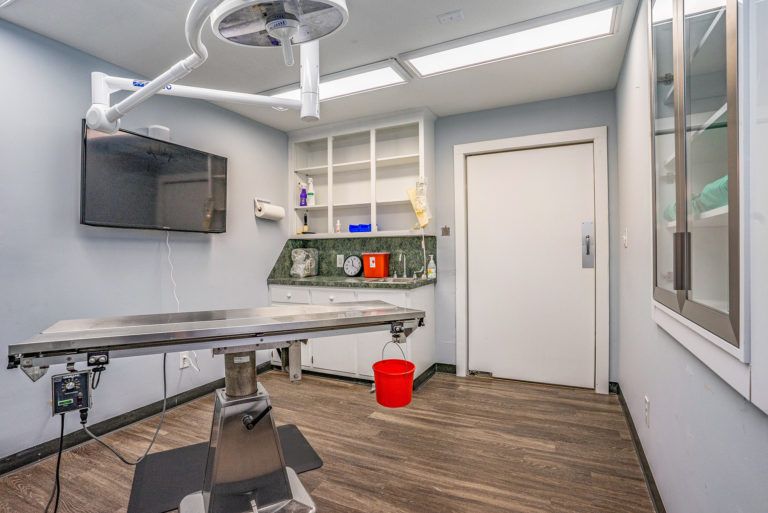 Hospital Tour Veterinary Clinic of Myrtle Beach, SC