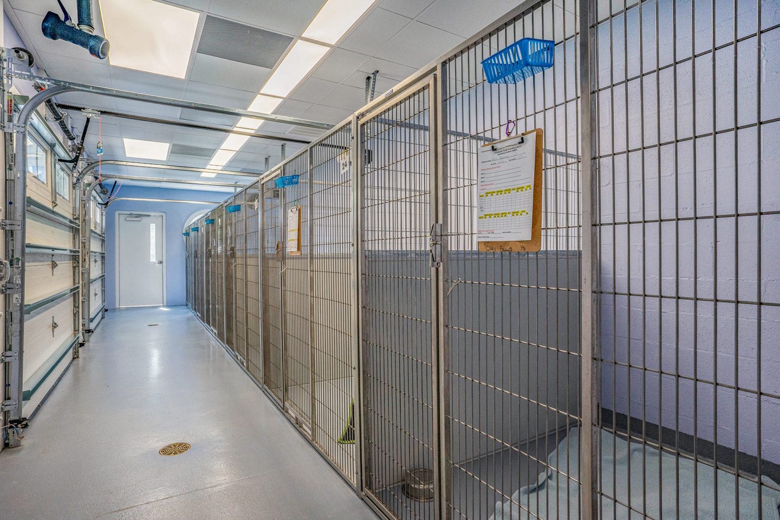 Hospital Tour Veterinary Clinic of Myrtle Beach, SC