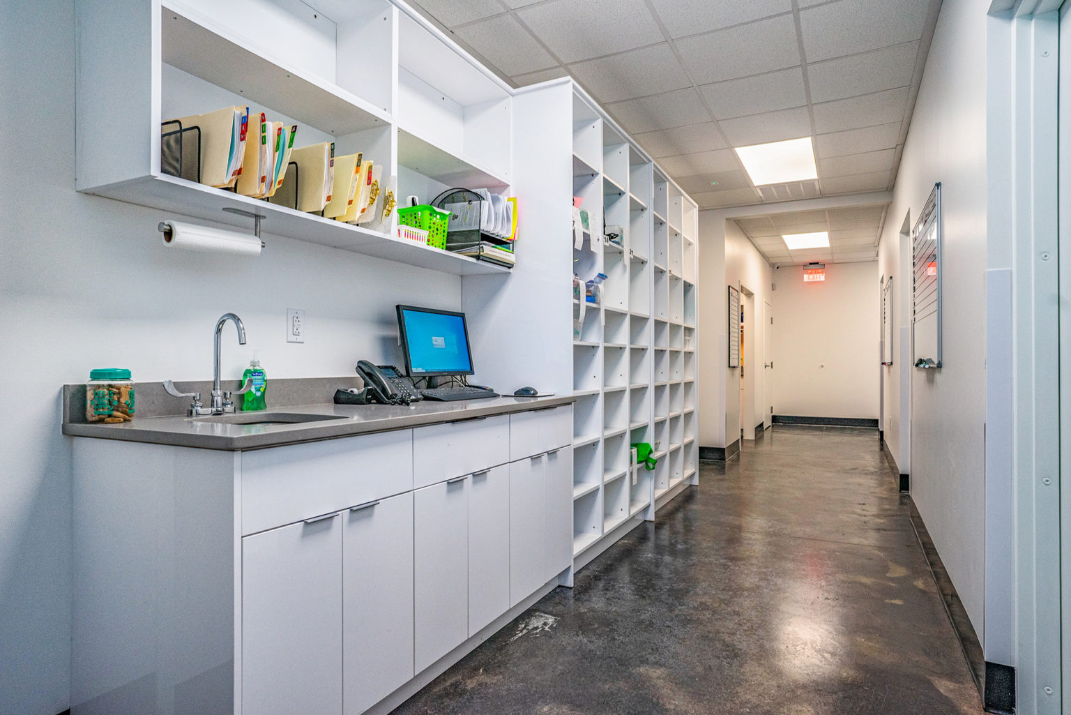 Hospital Tour Veterinary Clinic of Myrtle Beach, SC